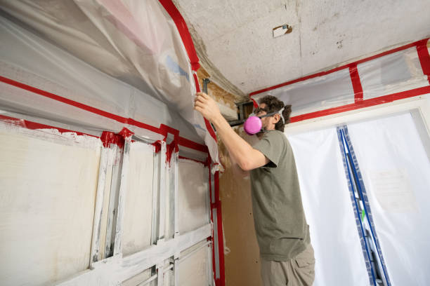  New London, OH Mold Removal Pros